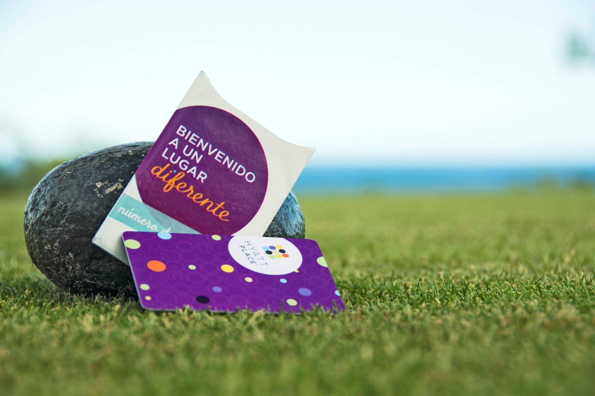 Hyatt Place Los Cabos San José del Cabo Ανέσεις φωτογραφία